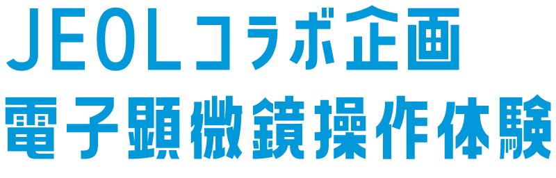 電子顕微鏡操作体験会