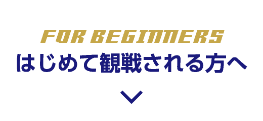 はじめて観戦される方へ