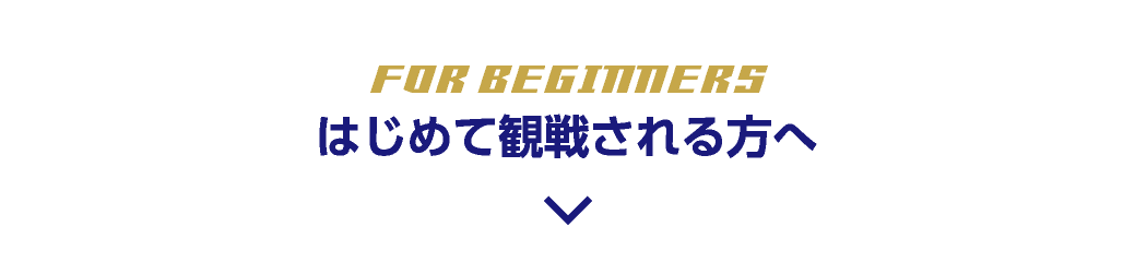 はじめて観戦される方へ